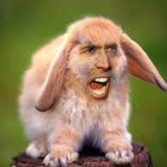 Meet your Posher, Posh - Picture 1 of 1